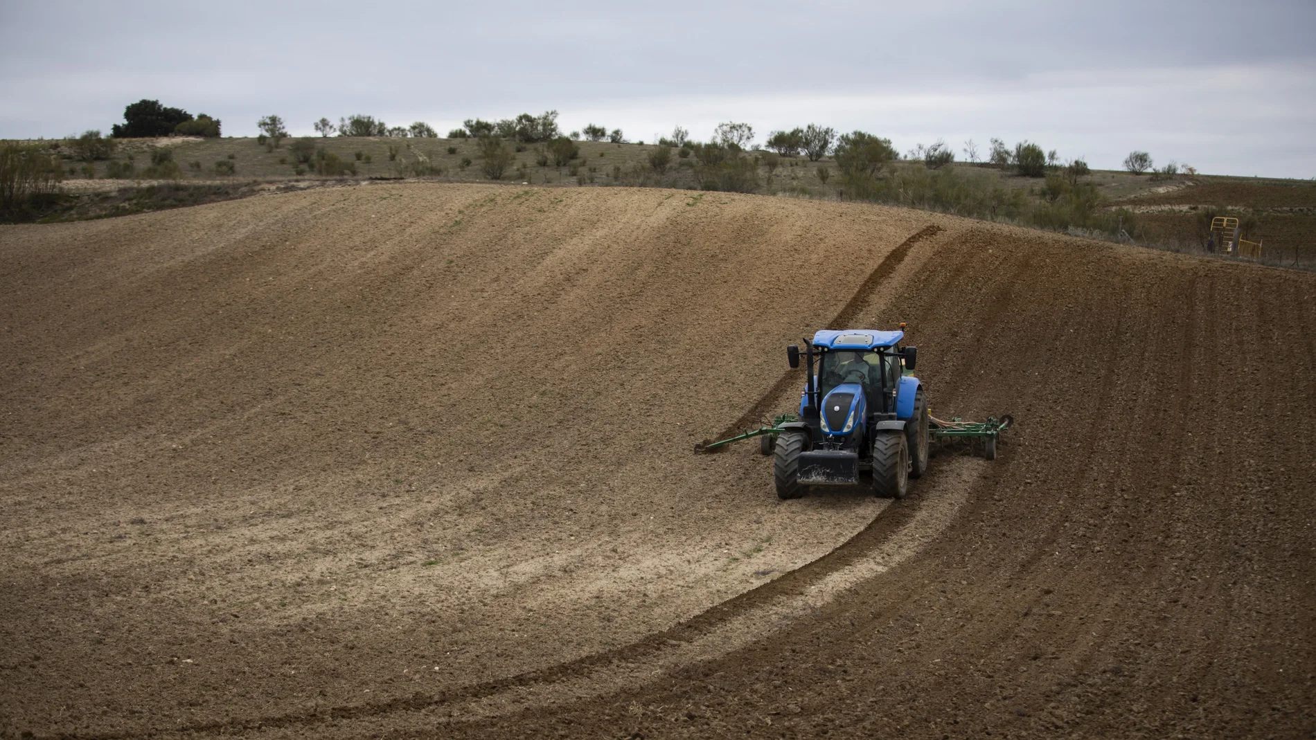 Campo de cultivo en Quijorna