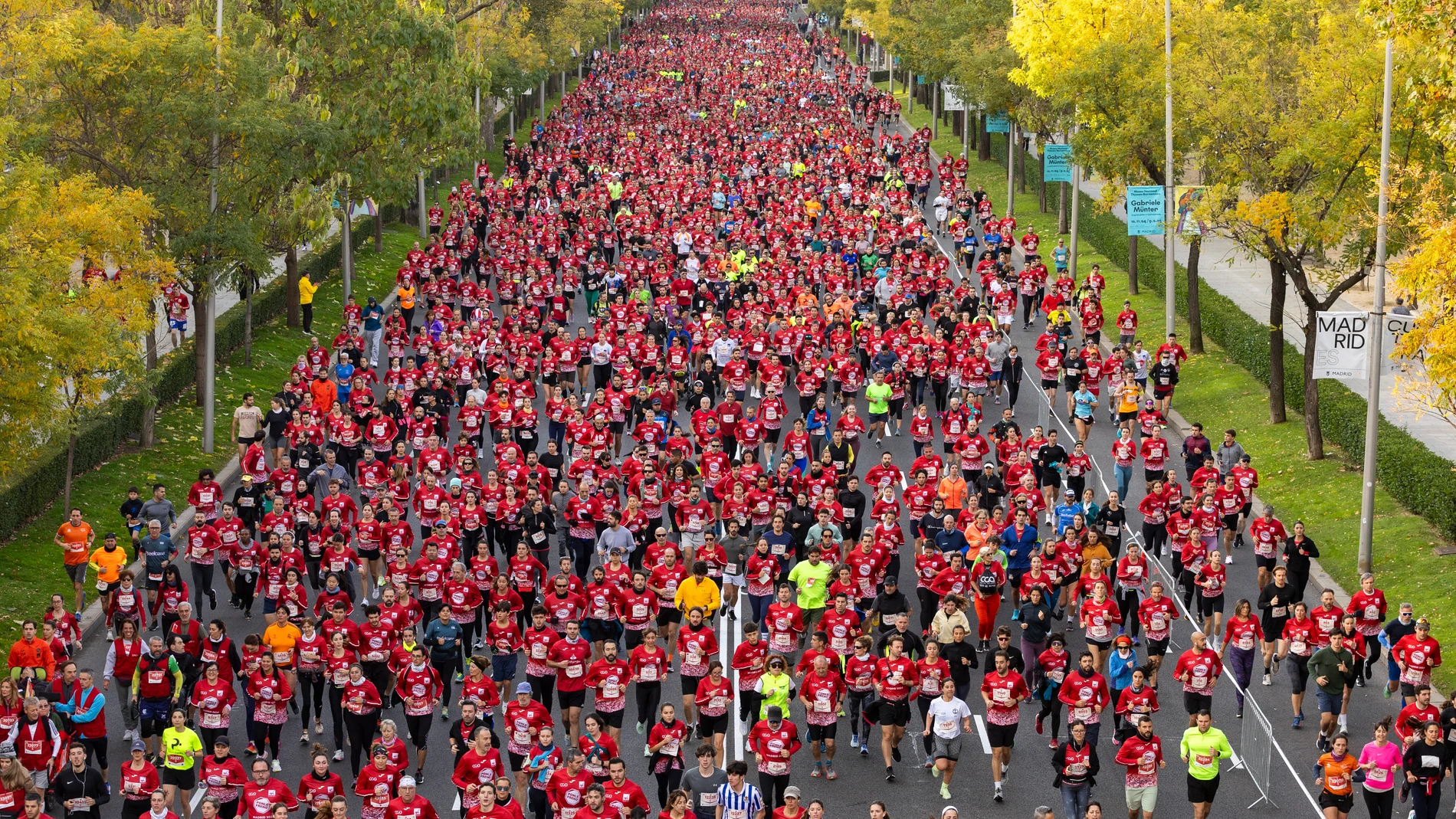 Carrera Ponle Freno en favor de las víctimas de accidentes de tráfico. © Jesús G. Feria.