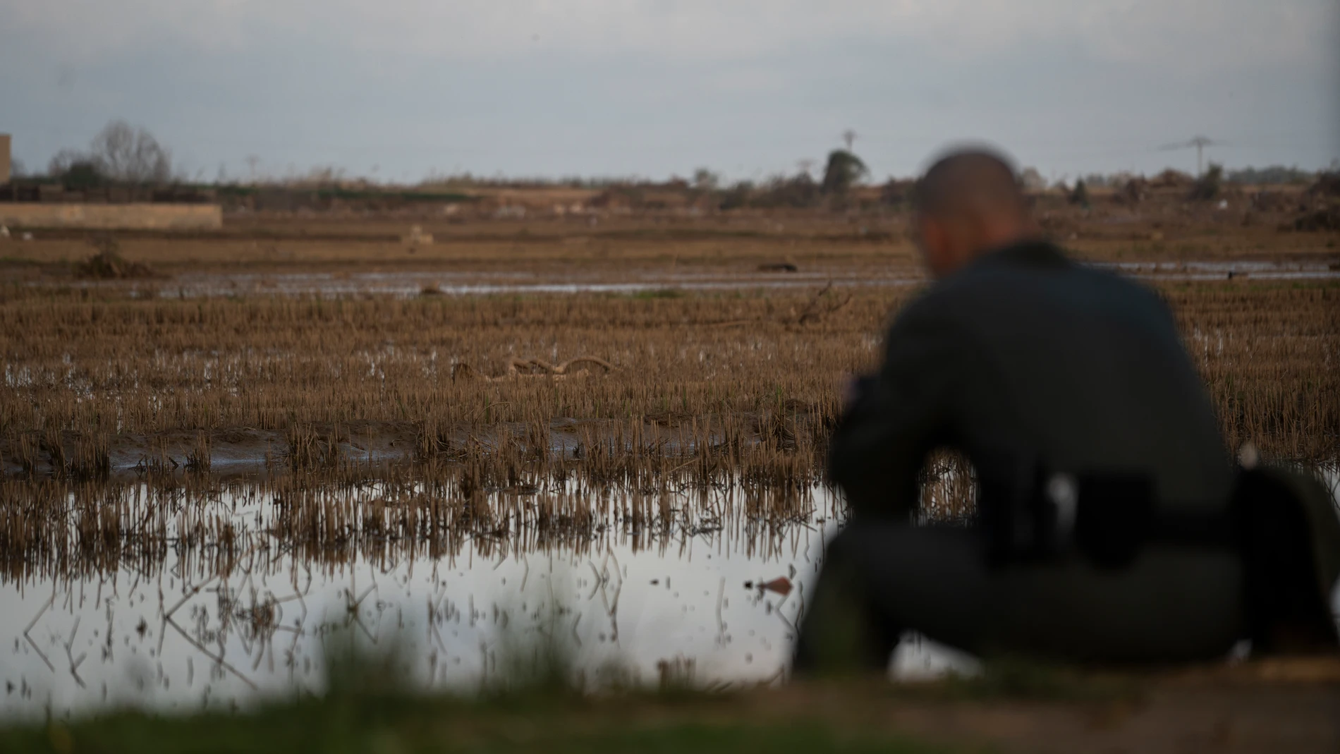 Un agente controla un dron para la búsqueda de desaparecidos en La Albufera, a 18 de noviembre de 2024, en Valencia, Comunidad Valenciana (España). De los 218 fallecidos por la DANA, se han encontraron 68 cuerpos en el interior de hogares y hasta 32 en cocheras. En el exterior, al menos 45 levantamientos se realizaron en la calle y en el campo. Las localidades valencianas donde se recuperaron la mayoría de estos cuerpos sin vida fueron Paiporta (45), Catarroja (25), Valencia (16), Alfafar (15...