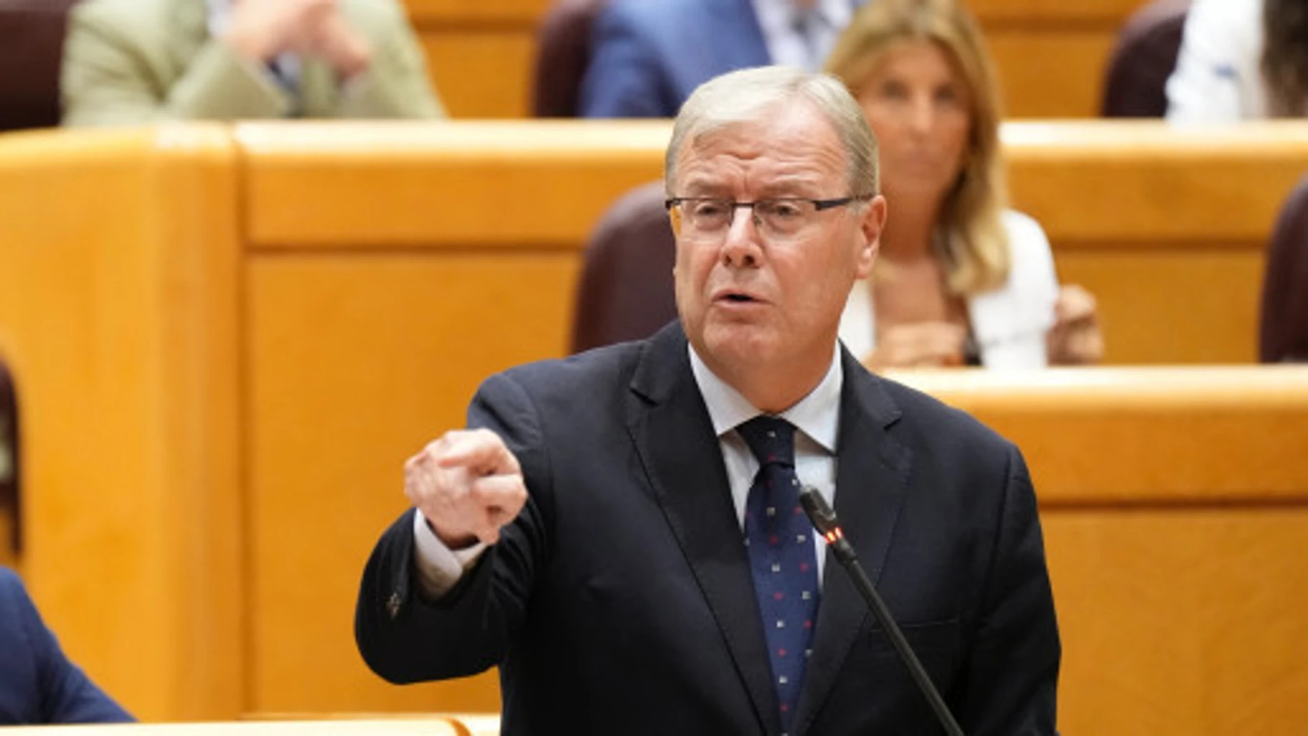 Silván durante su cara a cara con el ministro Marlaska en el Senado