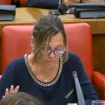 La diputada popular palentina Milagros Marcos durante su intervención