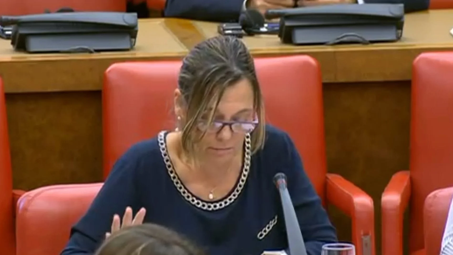 La diputada popular palentina Milagros Marcos durante su intervención