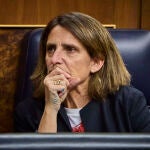 Comparecencia de la vicepresidenta tercera del Gobierno y ministra para la Transición Ecológica y el Reto Demo
