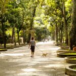 Paseo por el parque 