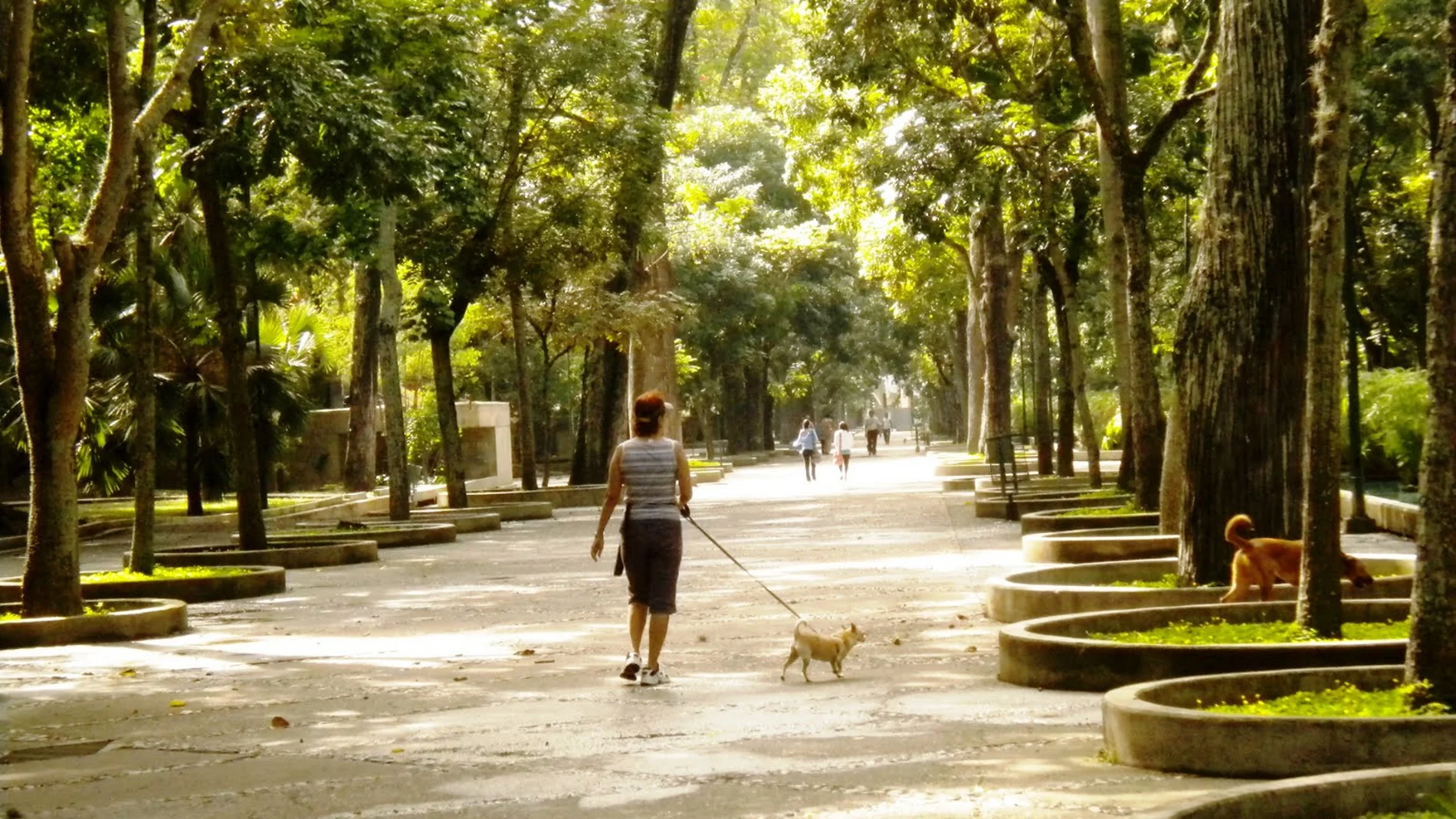 Paseo por el parque