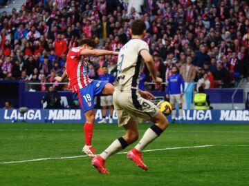 Encuentro de liga entre el Atl&eacute;tico de Madrid y el Osasuna. &copy; Jes&uacute;s G. Feria.