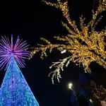 El árbol de Navidad del año pasado.
