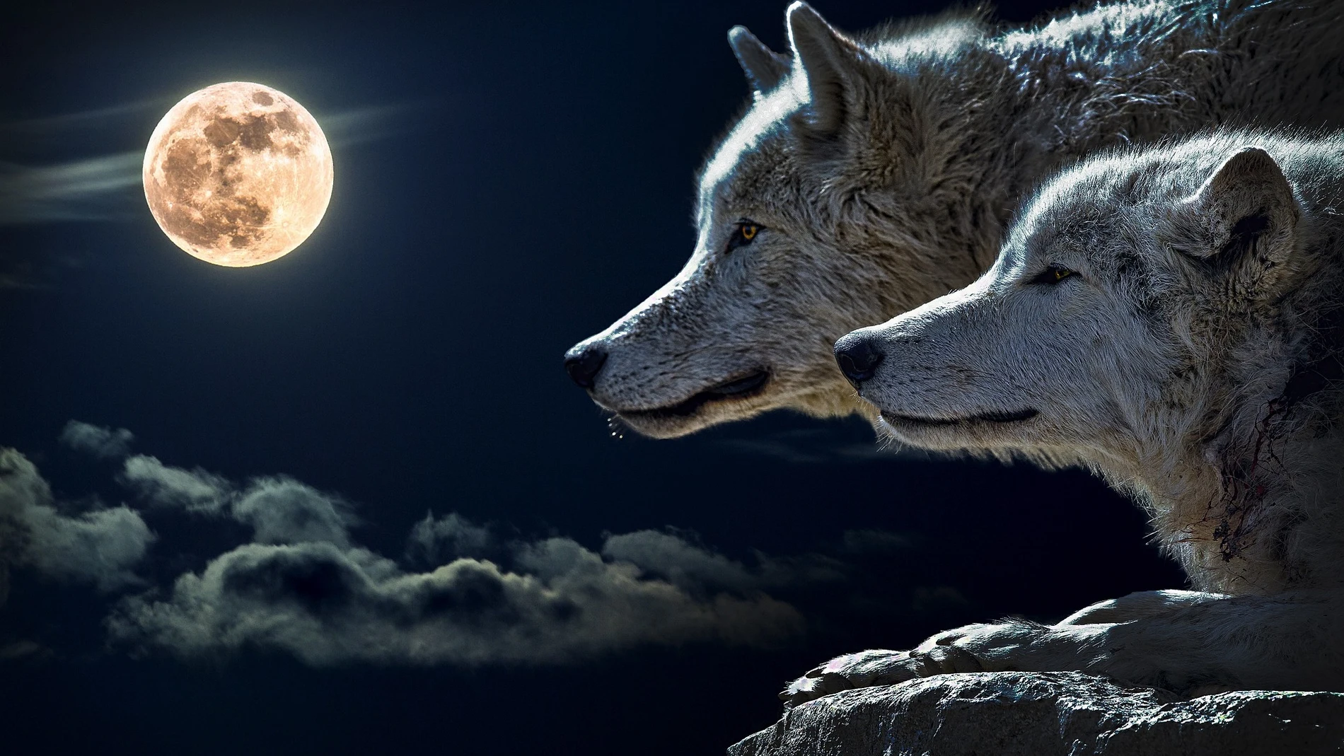 Luna del lobo zodíaco