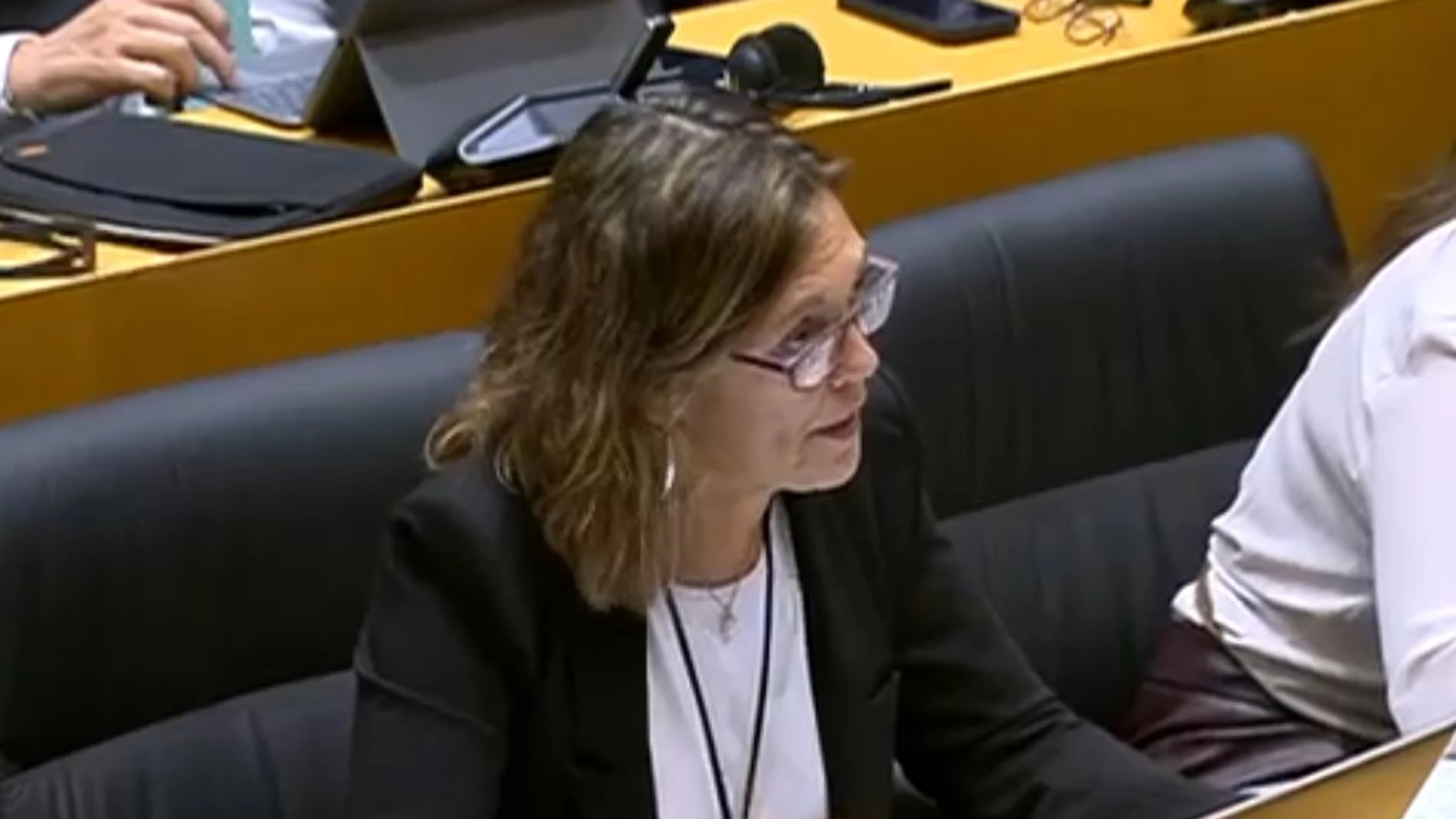 Mila Marcos durante una de sus intervenciones en la comisión del Congreso de los Diputados