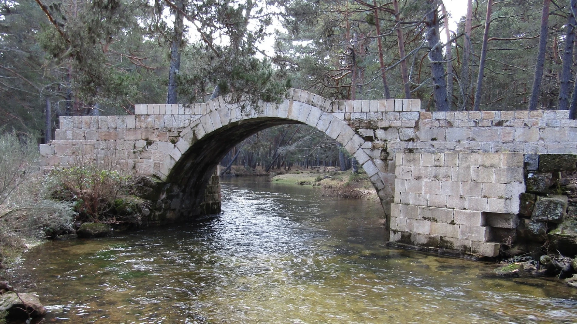 Pinar de Covaleda