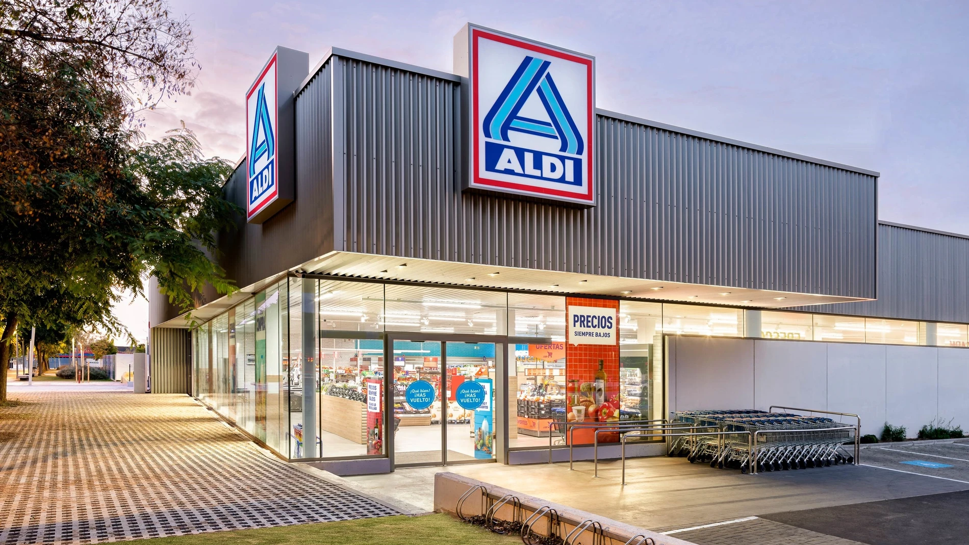 Tienda de Aldi REMITIDA / HANDOUT por ALDI Fotografía remitida a medios de comunicación exclusivamente para ilustrar la noticia a la que hace referencia la imagen, y citando la procedencia de la imagen en la firma 14/01/2025