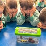 La oferta educativa del colegio Luyferivas va desde el año 1 hasta 2º de bachillerato, con posibilidad de un bachillerato dual y un bilingüismo desde educación infantil.