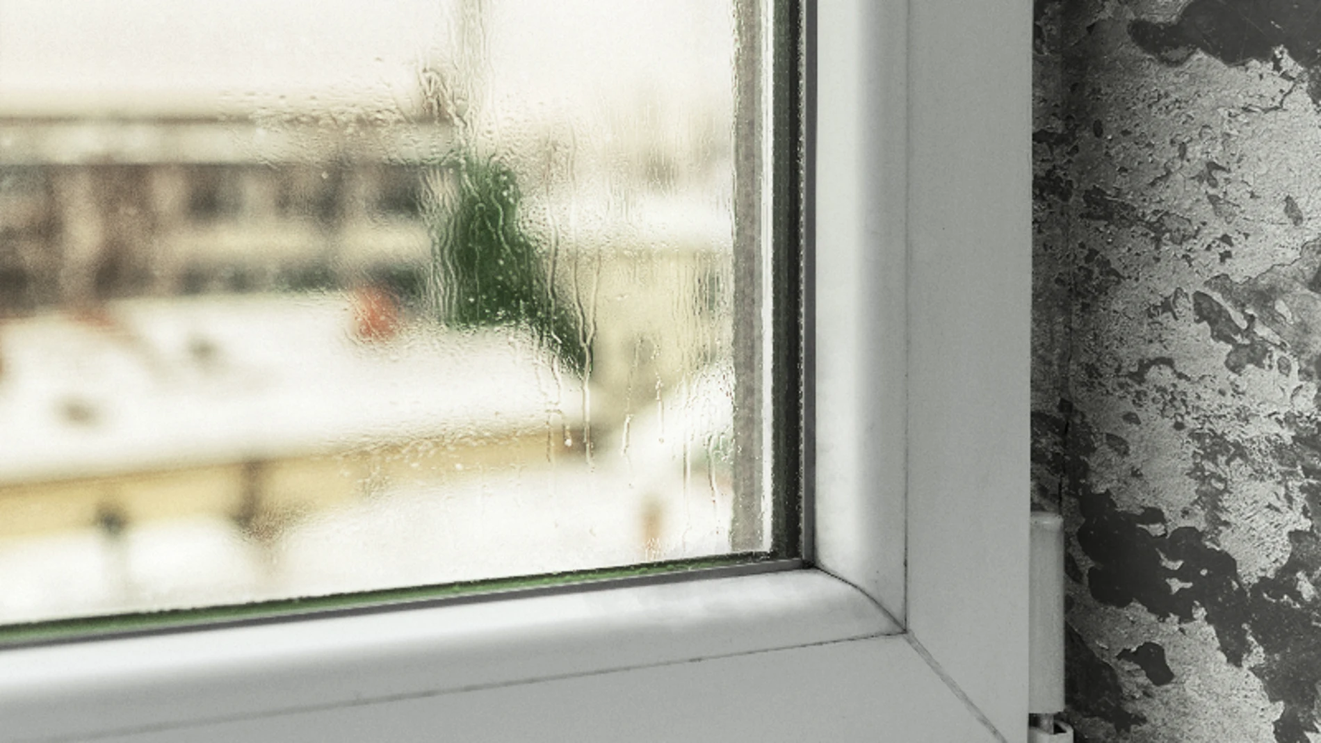 El frío y los meses de invierno provocan con frecuencia la humedad en las paredes de nuestras casas debido a la condensación que sufren las ventanas