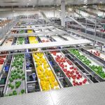 El mercado estadounidense se cierra al pimiento almeriense justo antes de la llegada de Trump
