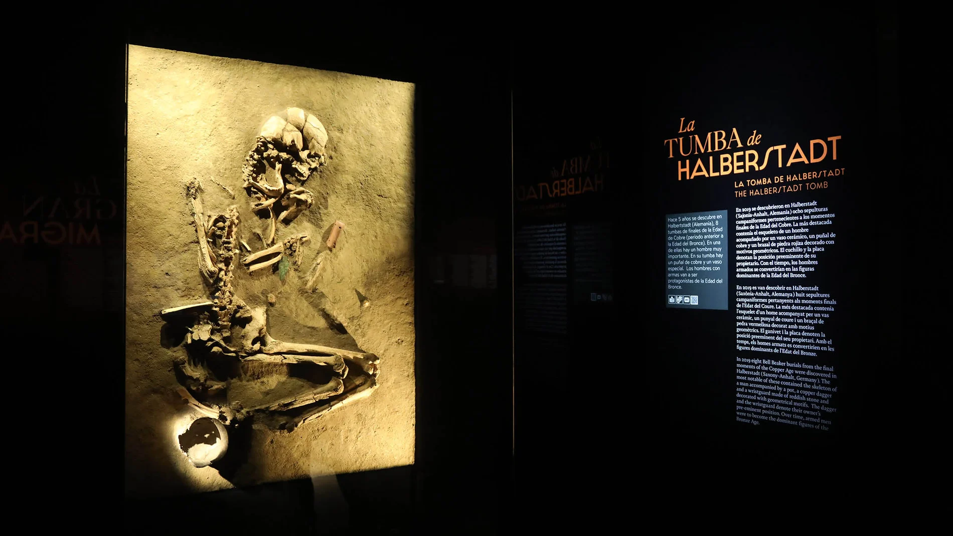 Imagen de la exposición "Dinastías" del Marq