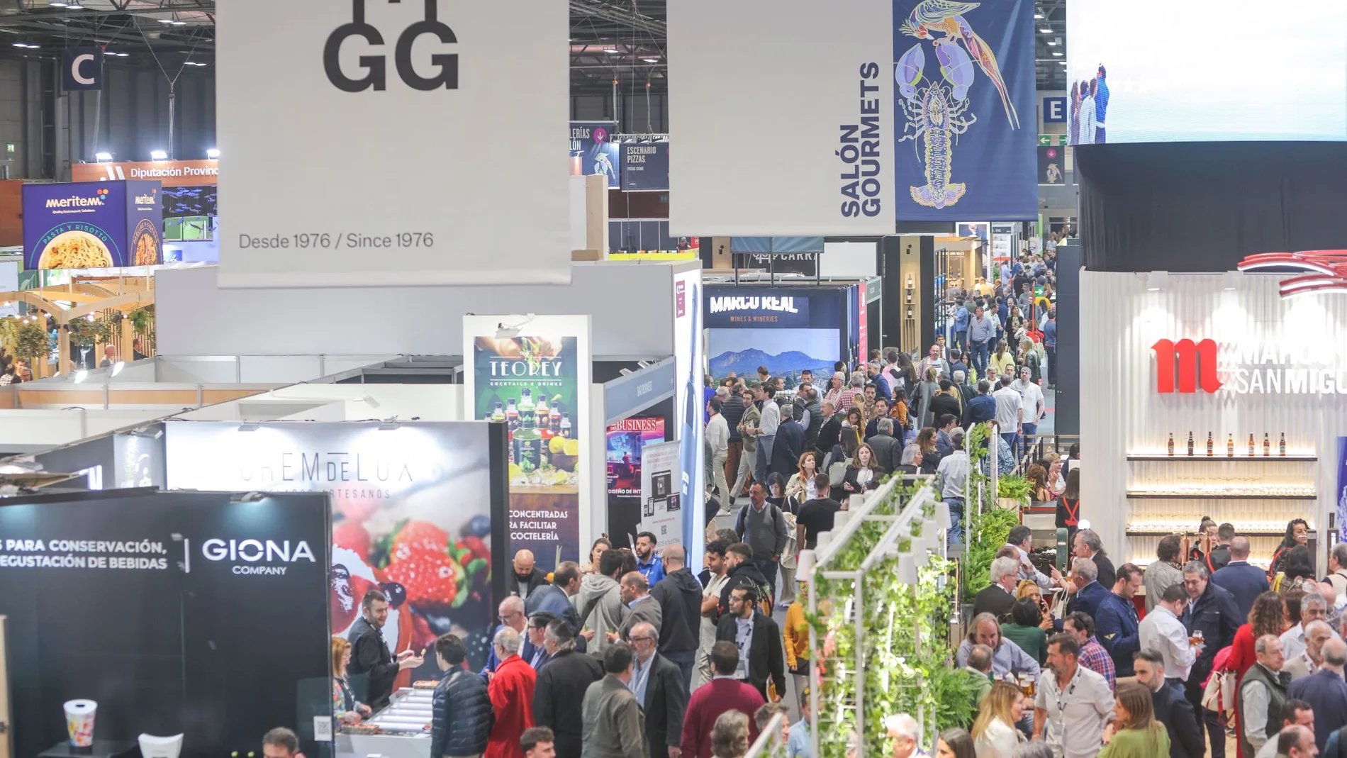 Fitur