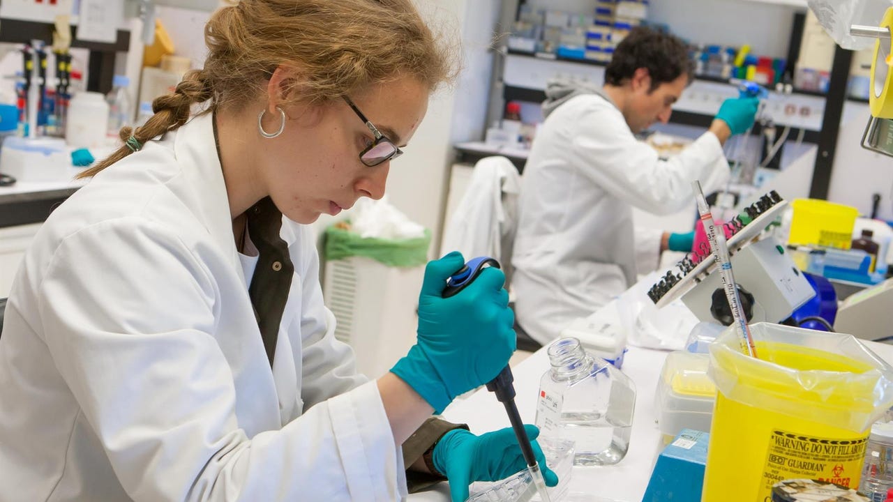 Castilla y León recibe 17,28 millones para 123 proyectos de generación de conocimiento que incluyen la contratación de 48 investigadores predoctorales