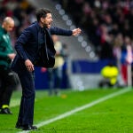 Atletico de Madrid v Bayer 04 Leverkusen - UEFA Champions League 2024/25 League Phase MD7