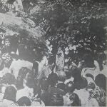 Aparición de la Virgen de Lourdes en Can Cerdà