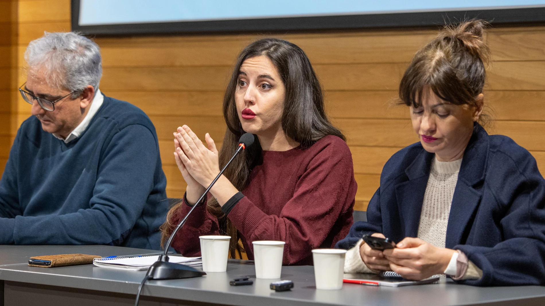 LOGROÑO, 25/01/2025.- La directora general de Infancia y Adolescencia de su ministerio, Sandra Garmendia (c), en su intervención en la reunión interparlamentaria de IU, que se celebra en Logroño, en la que ha participado la ministra de Juventud e Infancia, Sira Rego (d). EFE/Raquel Manzanares