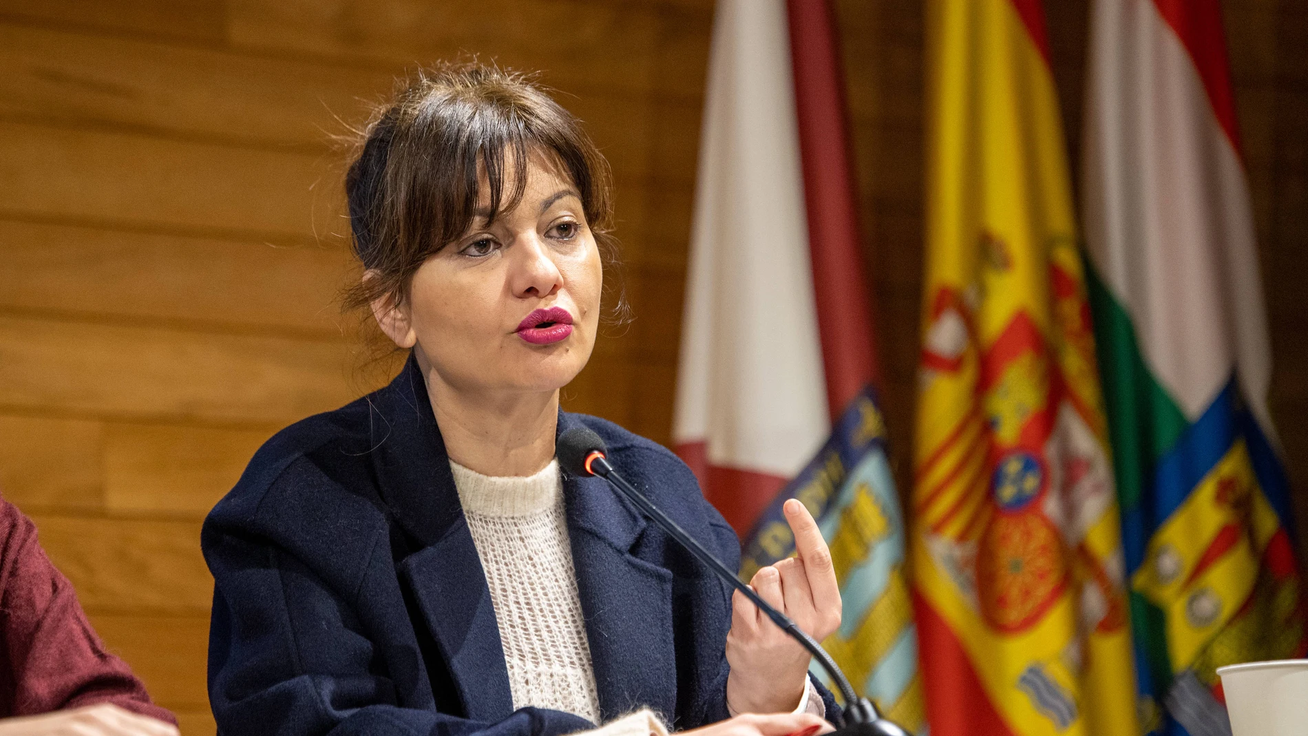 LOGROÑO, 25/01/2025.- La ministra de Juventud e Infancia, Sira Rego, cree que es necesario impulsar el Pacto de Estado Contra la Pobreza Infantil para poder habilitar medidas como una ayuda universal por Crianza para todas las familias, de 200 euros al mes por cada menor. Rego ha pedido este sábado a los participantes en la reunión interparlamentaria de IU, que se celebra en Logroño, que impulsen en cada territorio la difusión de ese pacto y las medidas que propone para que se llegue a un acu...