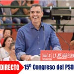 15º Congreso de PSOE Canarias