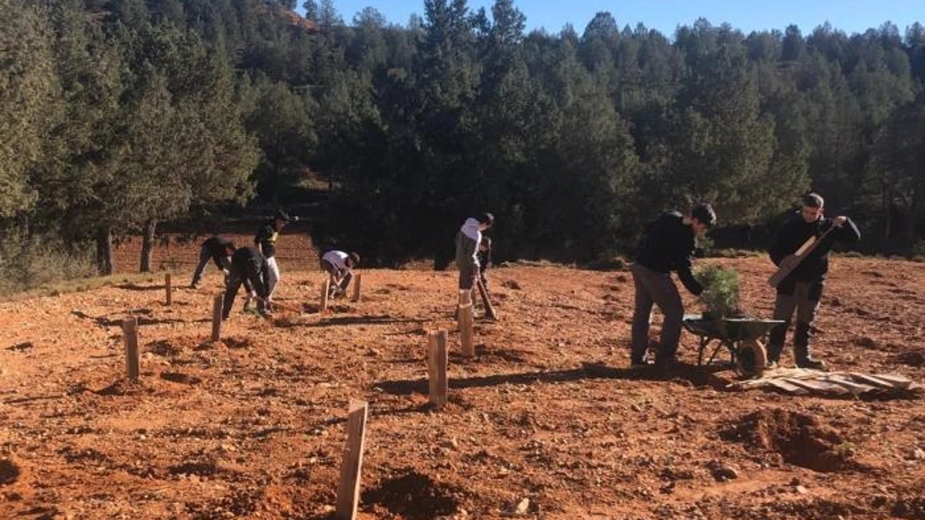 Alumnos del centro de formación profesional "San Blas" realizan una plantación.REMITIDA / HANDOUT por CPIFPFotografía remitida a medios de comunicación exclusivamente para ilustrar la noticia a la que hace referencia la imagen, y citando la procedencia de la imagen en la firma26/01/2025