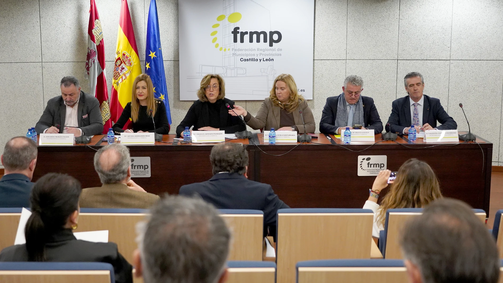 Comisión Ejecutiva de la FRMPCyL, presidido por Ángeles Armisén