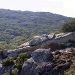 Entorno de Laja Alta