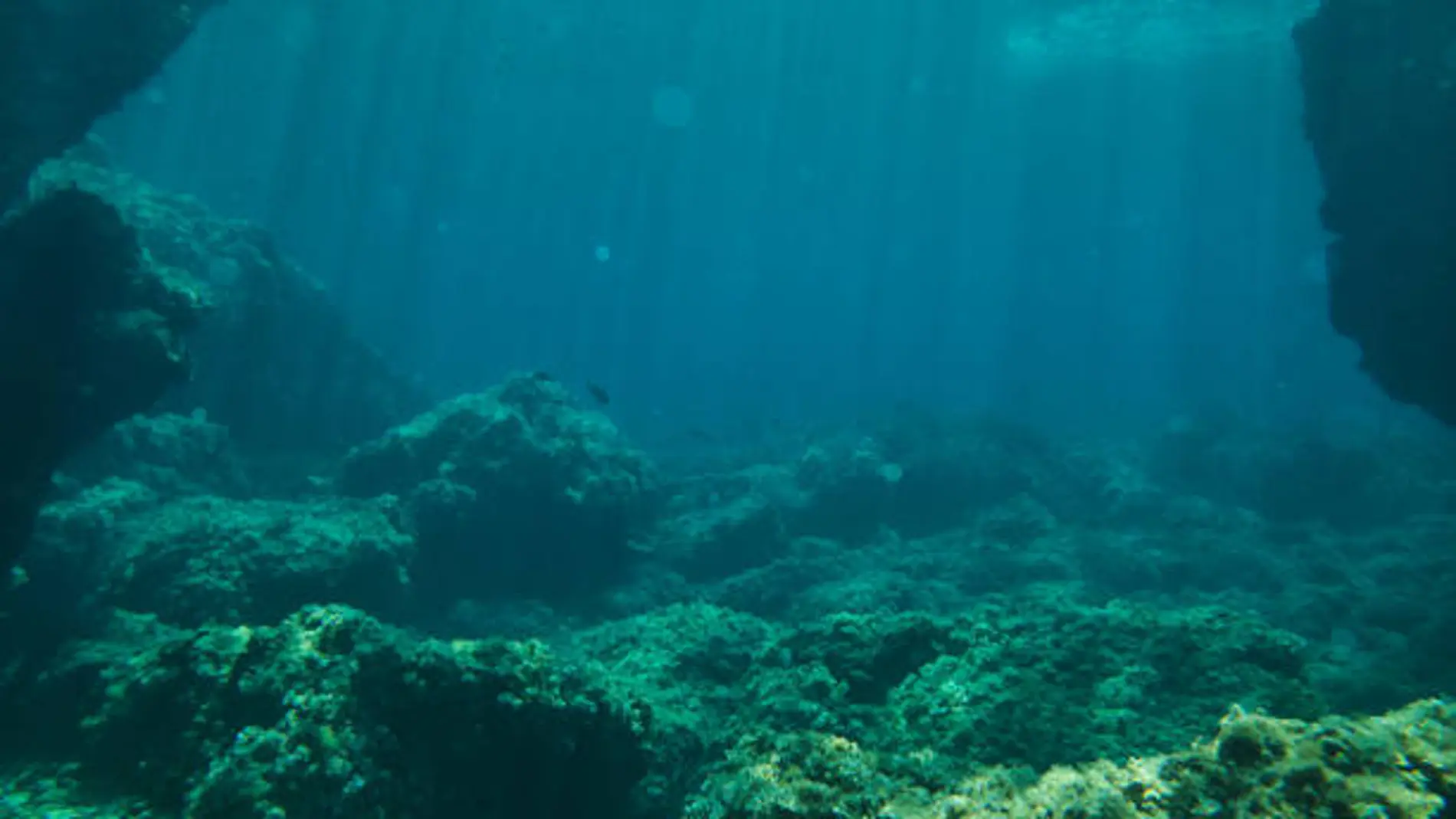 El fondo acuático esconde tesoros que la arqueología submarina no cesa de descubrir
