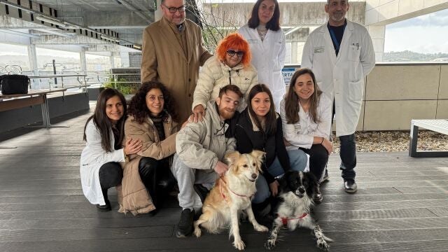Ourense da un paso pionero en la humanización hospitalaria con la visita de animales de compañía a los pacientes