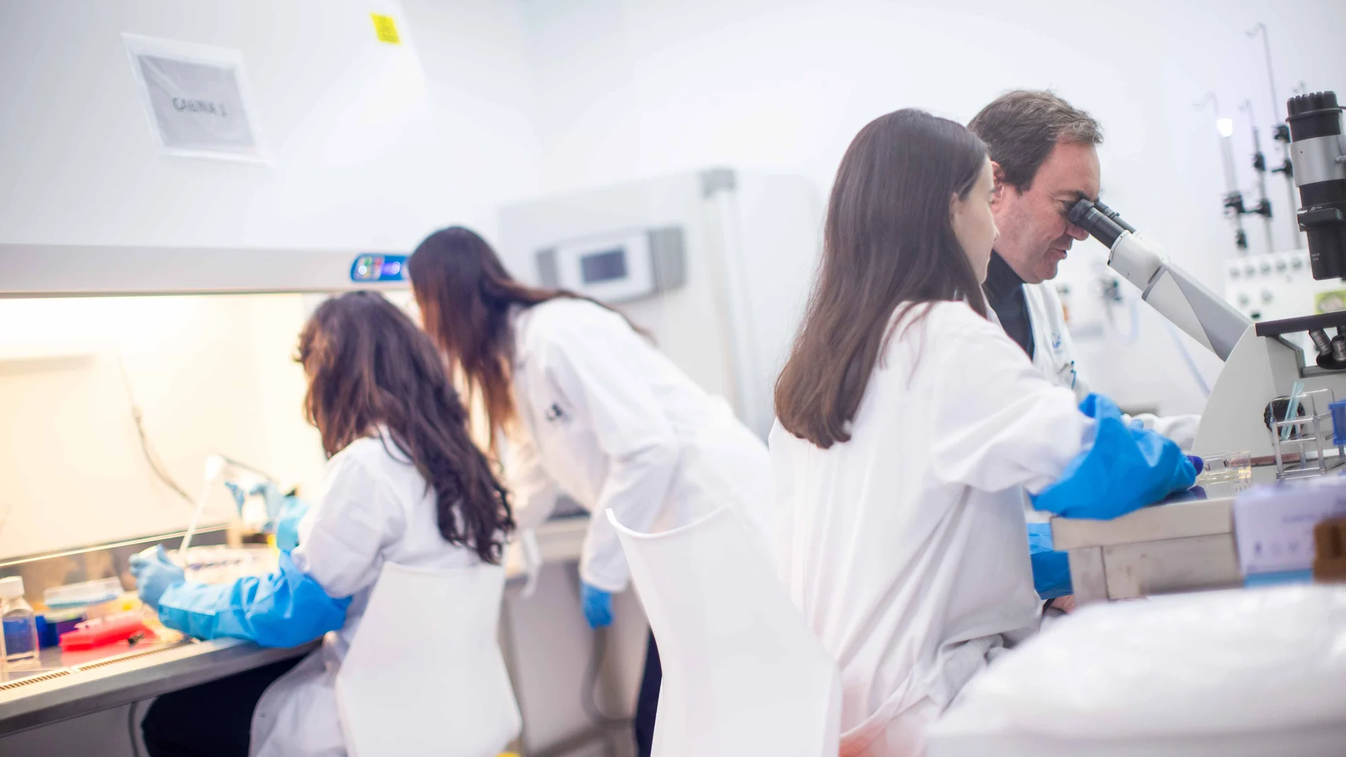 Se trata de un sector clave para la investigación