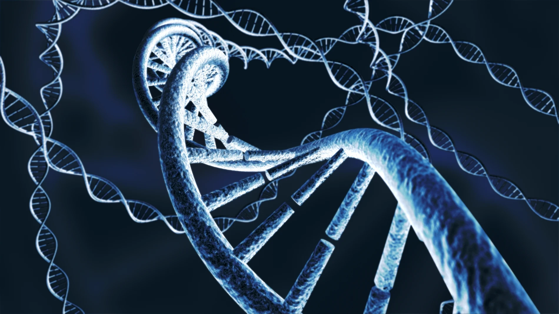 Tener varios familiares de primer grado con cáncer o muchos familiares con el mismo tumor puede ser indicativo de un mayor riesgo de cáncer