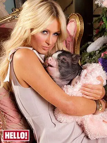 Paris Hilton con su cerdo