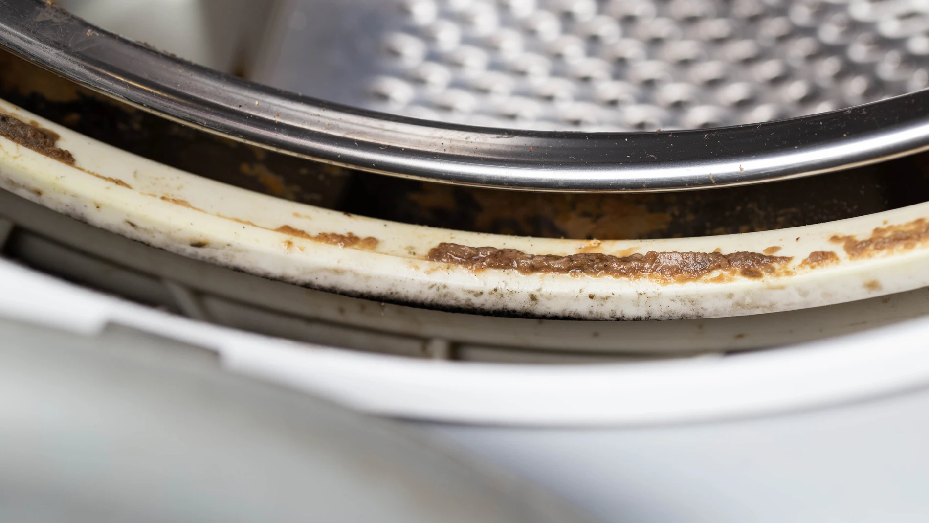 La lavadora es un electrodoméstico indispensable en nuestro hogar y está prácticamente en todas las casas, lo que ayuda a lavar la ropa de manera eficiente y ahorrar en tiempo