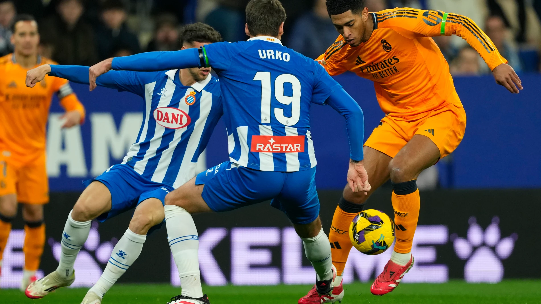 CORNELLÁ - EL PRAT (BARCELONA), 01/02/2025.- El centrocampista inglés del Real Madrid, Jude Bellingham (d), controla el balón ante el delantero del Espanyol, Urko Gonzalez, durante el encuentro correspondiente a la jornada 22 de Laliga EA Sports que disputan hoy sábado el Espanyol y Real Madrid en el RCDE Stadium, en Barcelona. EFE / Alejandro García.