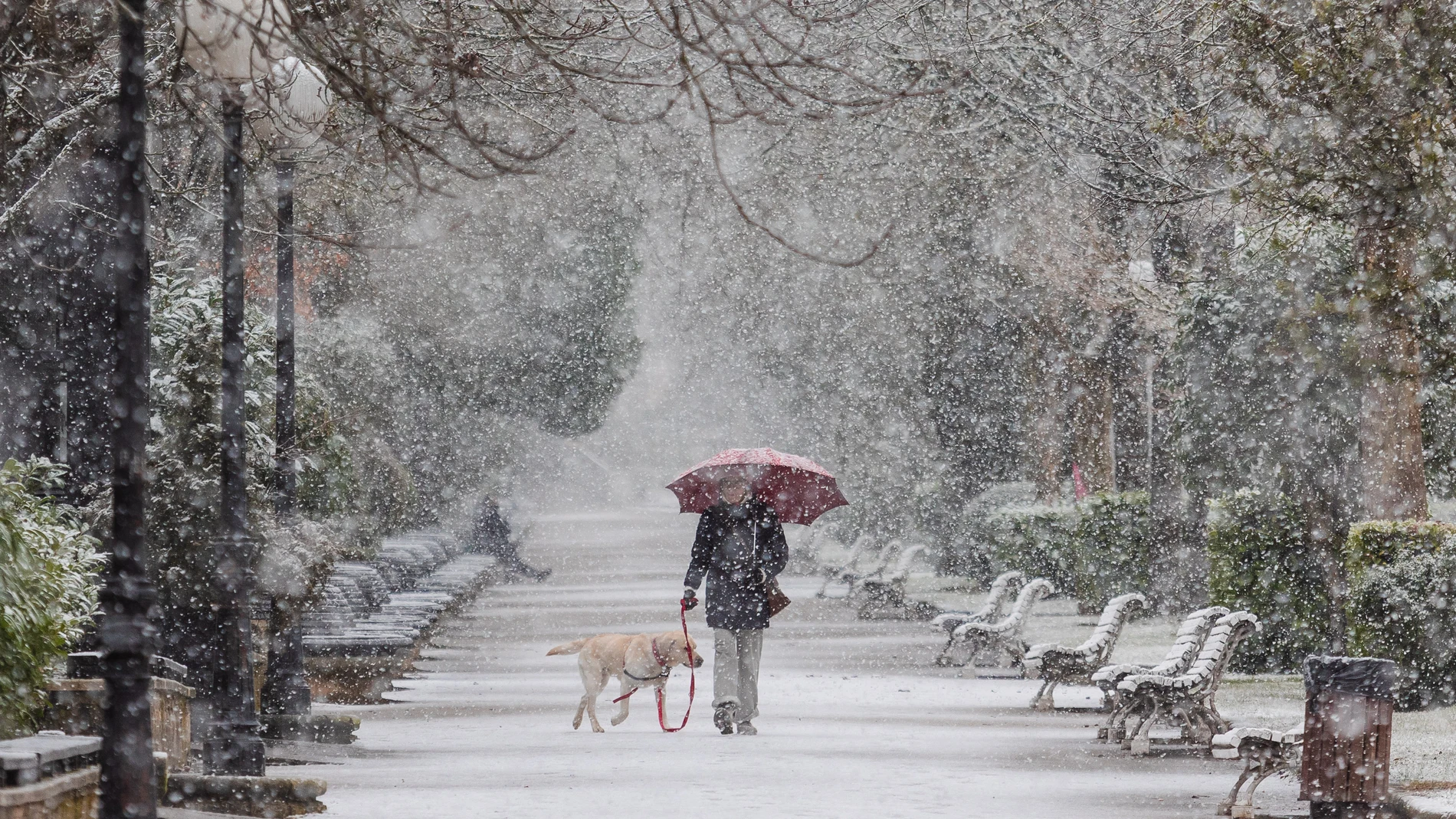 La nieve ya ha hecho acto de presencia en Soria y se espera mucho frío este fin de semana