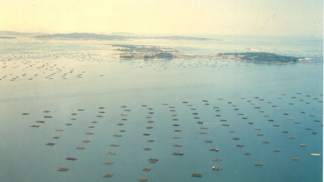 Ría de Arousa. 