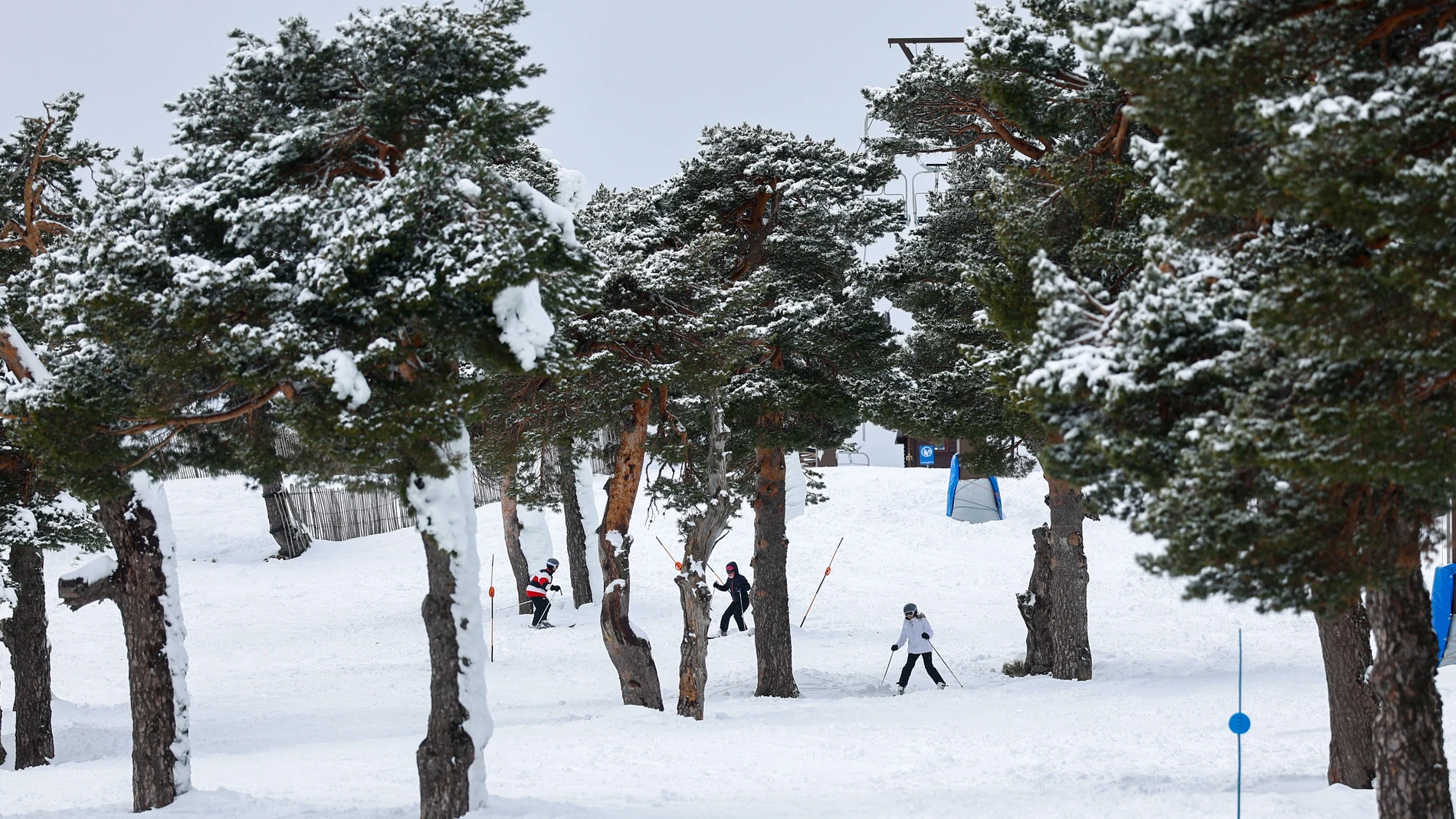 -FOTODELDÍA- MADRID, 07/02/2025.- Varias personas disfrutan de la nieve en la estación de Navacerrada, Madrid, este viernes. EFE/Rodrigo Jiménez