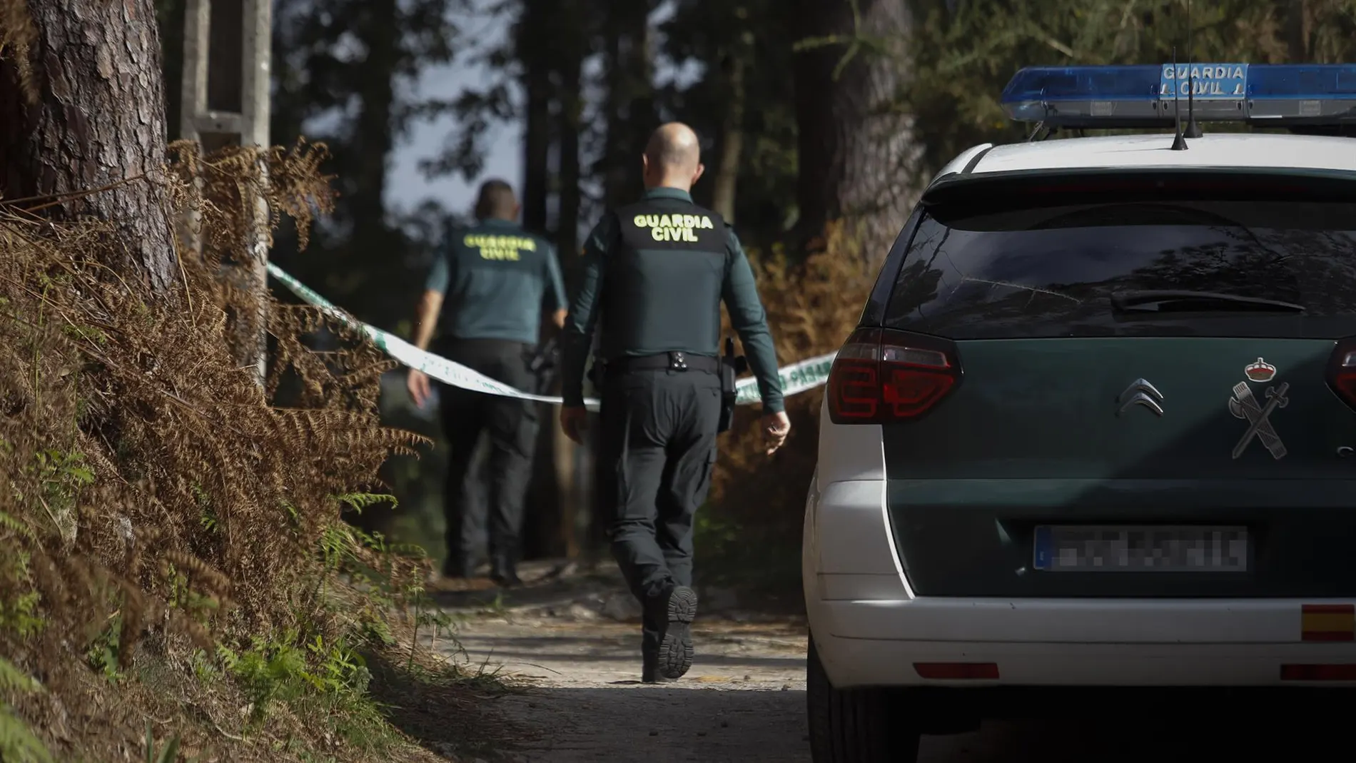 AMPL.- La criminalidad cerró en 2024 con una ligera bajada, aunque con incrementos en homicidios y violaciones