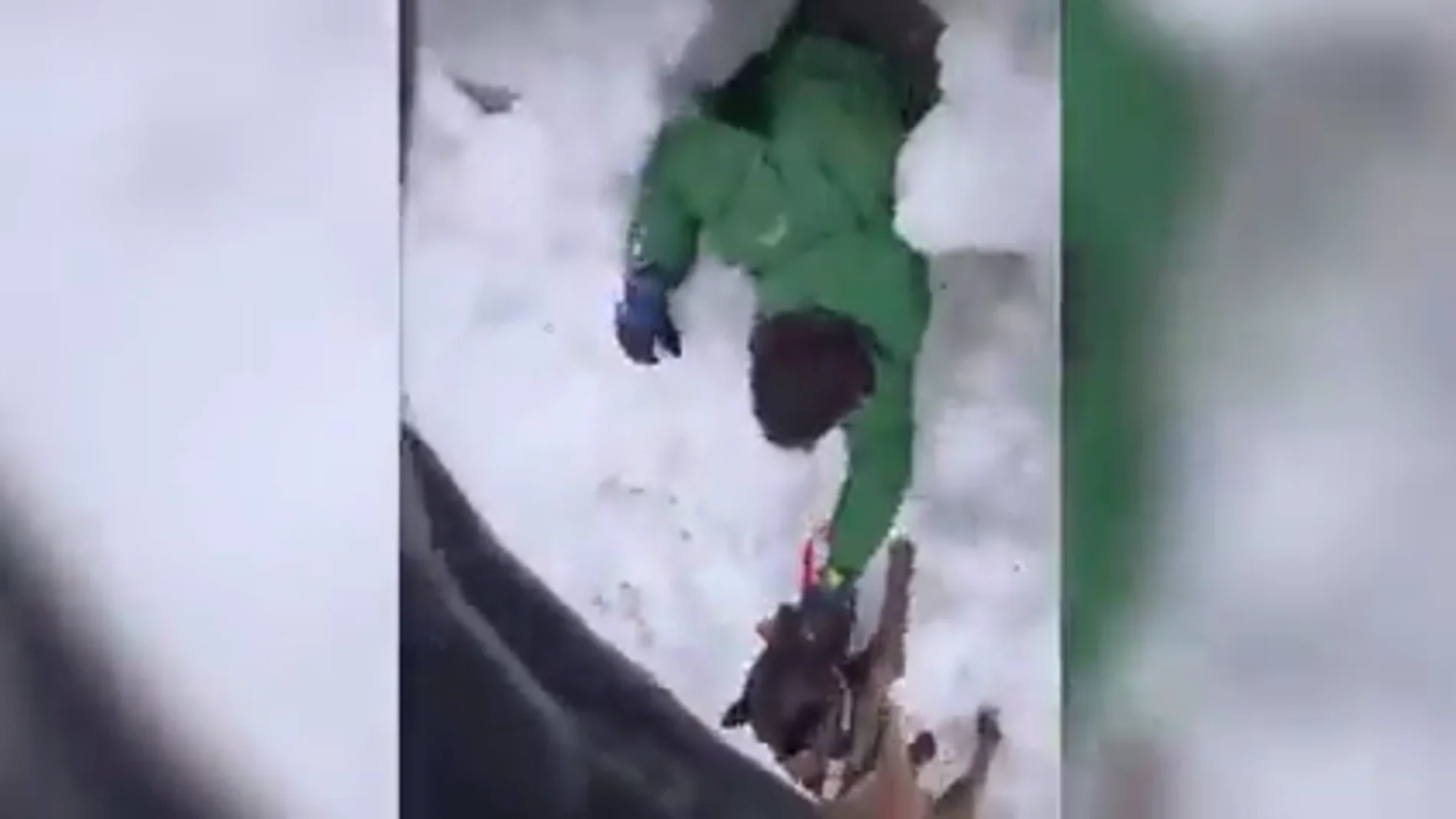 Así actúan los perros de rescate de personas de la Guardia Civil