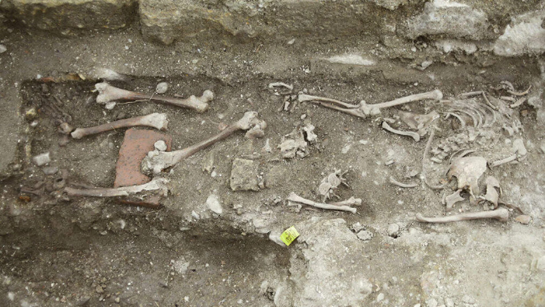 Los huesos del supuesto "vampiro" con los rituales tras su muerte