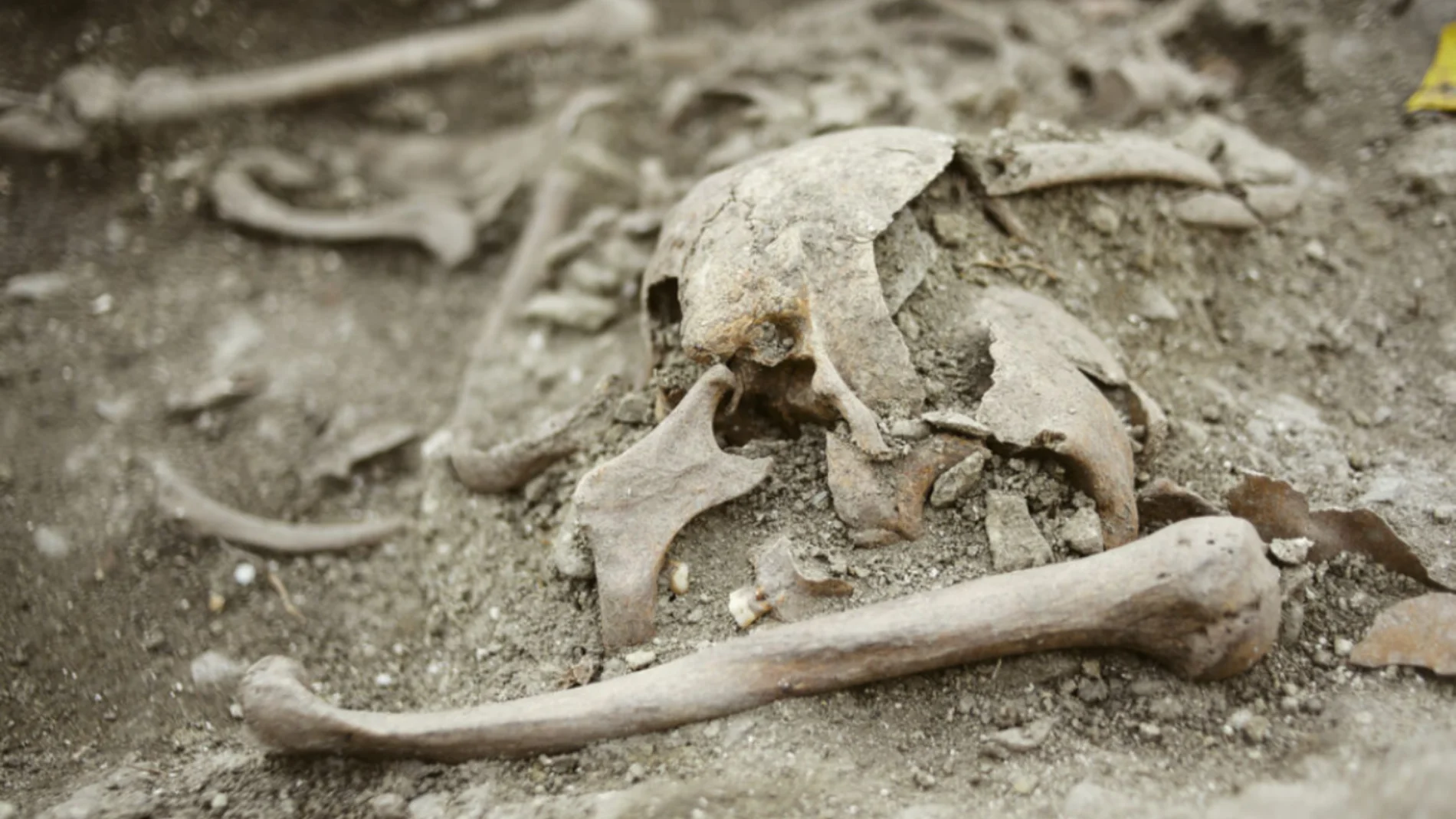 Investigadores descubren la tumba de un vampiro de época medieval