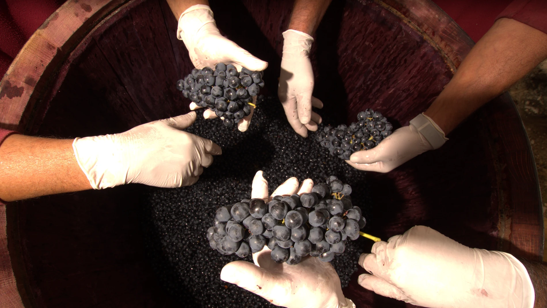 99 puntos a un vino español por Masters of wine Europeos