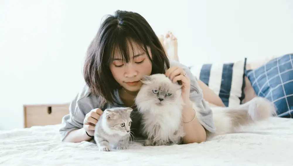 Mujer con gatos