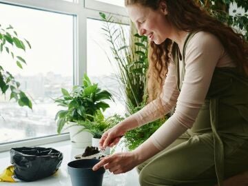 Mucha gente lo tira, pero es un tesoro en el jard&iacute;n: un jardinero explica c&oacute;mo usarlo