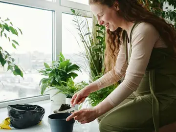 Mucha gente lo tira, pero es un tesoro en el jardín: un jardinero explica cómo usarlo Mucha gente lo tira, pero es un tesoro en el jardín: un jardinero explica cómo usarlo