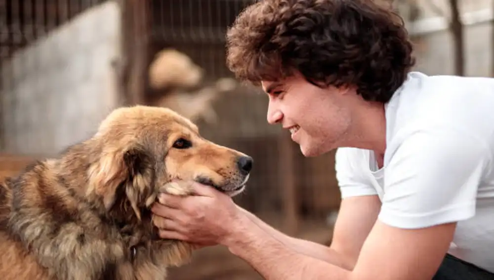 Un perro junto con su dueño
