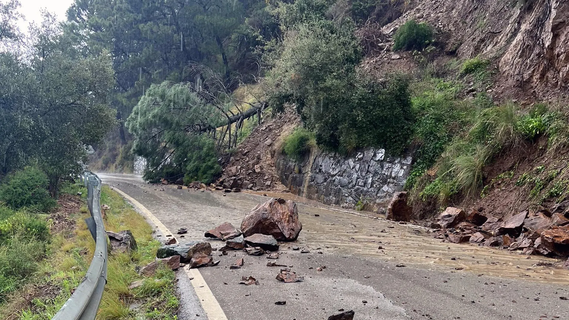 Lluvias caídas en la Serranía de Ronda en Málaga