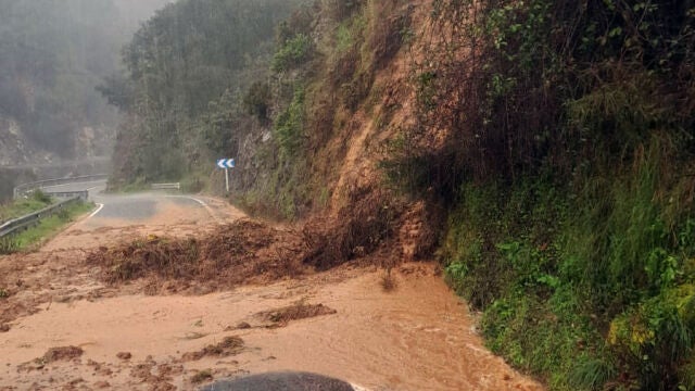 .- Las lluvias caídas en las últimas horas en la Serranía de Ronda en Málaga ha afectado al estado de varias carreteras